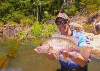 The T-Curve Revolution Bluewater Travel LT Spin 703 matched up with a Saragosa SW 5000 spinning reel proved the ideal set up for casting lures to medium-sized pelagics such as this Kimberley queenfish.